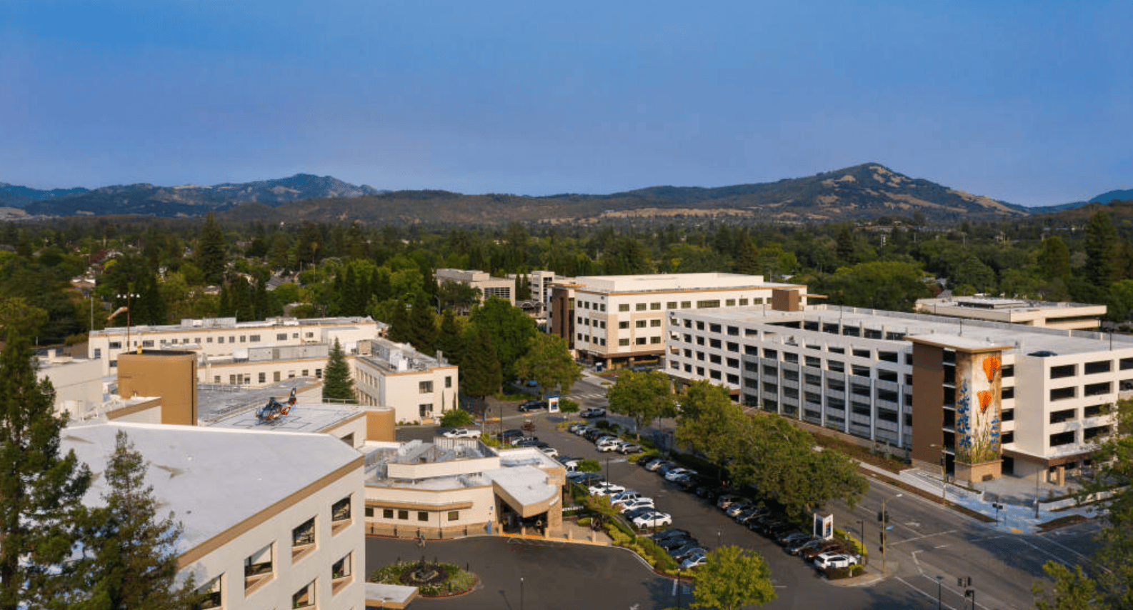 Bay Area Medical Alliance Partners with Providence Sonoma County